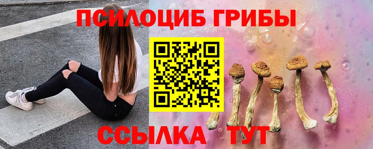 Галлюциногенные грибы Psilocybine cubensis  наркота  Валуйки  Псилоцибиновые грибы мухоморы  Вход с VPN 