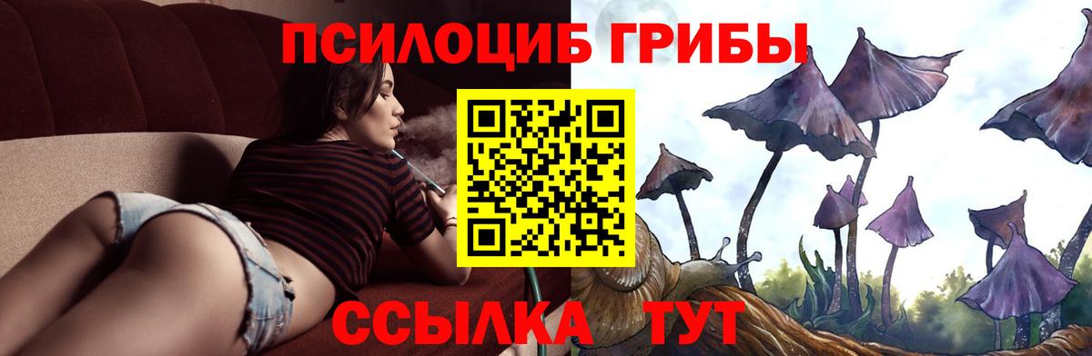 Псилоцибиновые грибы мухоморы Валуйки